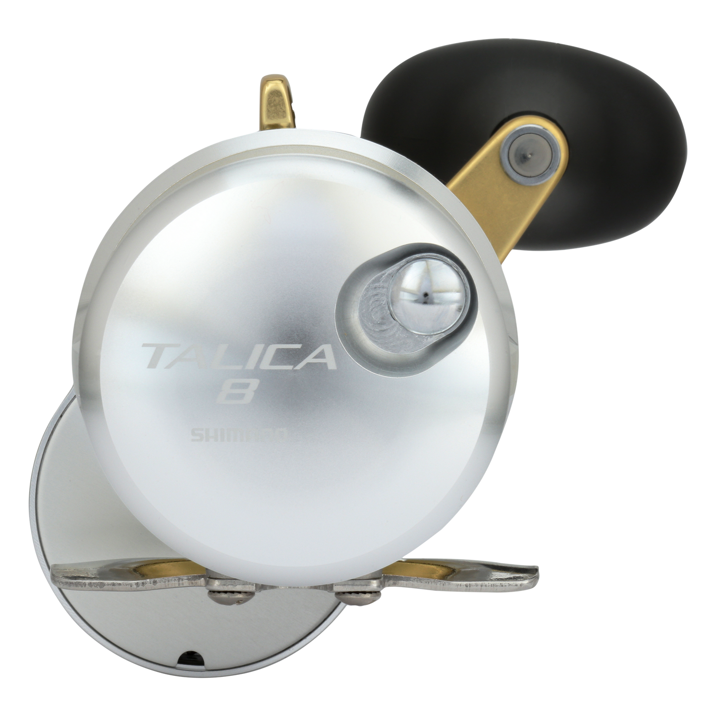 Talica 8