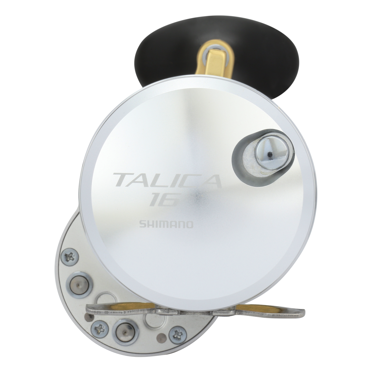 Talica 16